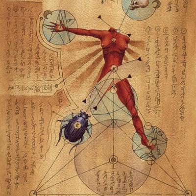 Autopsy beetle-page from the book of gosh - Thumbnail 3