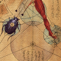 Autopsy Beetle-Page From the Book of Gosh - Thumbnail 1