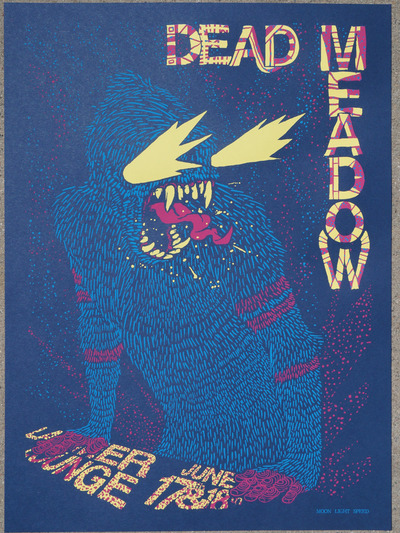 Dead Meadow at Larimer Lounge, Denver, Colorado