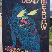 Dead Meadow at Larimer Lounge, Denver, Colorado - Thumbnail 1