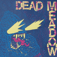 Dead Meadow at Larimer Lounge, Denver, Colorado - Thumbnail 2