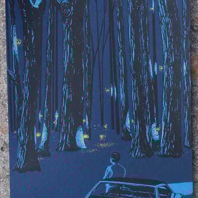 The life and times with native daughters @ larimer lounge - Thumbnail 5