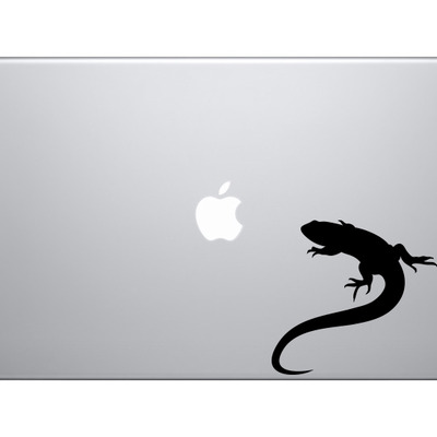 Animals silhouette biology - detailed lizard anole version 3 - vinyl decal for laptops, macbook, tablets and cars  - Thumbnail 2