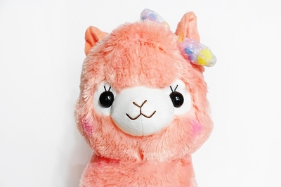 Amuse Pop series Arpakasso Orange Alpacasso Alpaca 50 cm