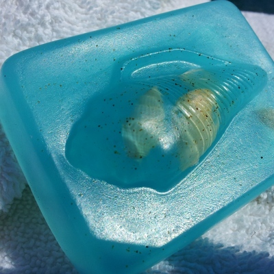 The beach comer in " ocean blue secluded beach - Thumbnail 5