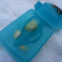 The Beach Comer in " Ocean Blue Secluded Beach - Thumbnail 1