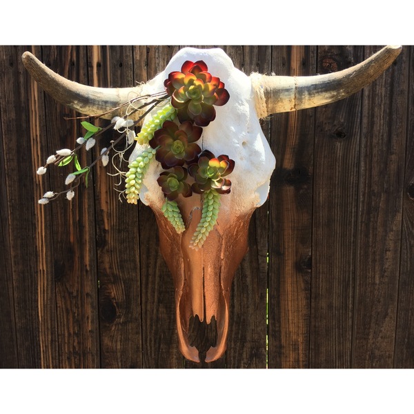 Flora No. 3 Cow Skull