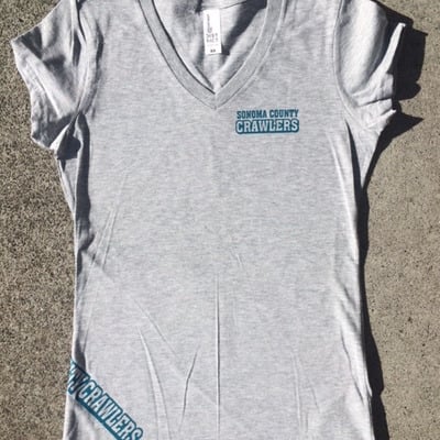 Gray t-shirt w/ teal
