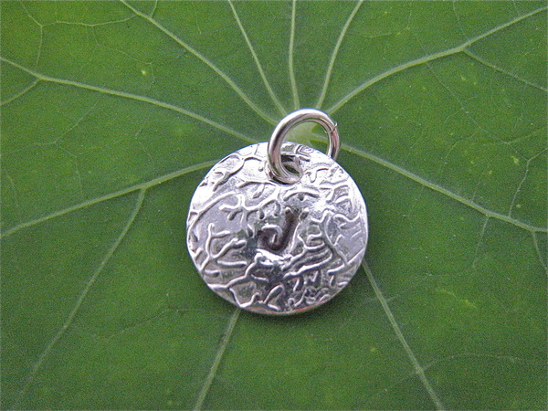 Initial Charm medium