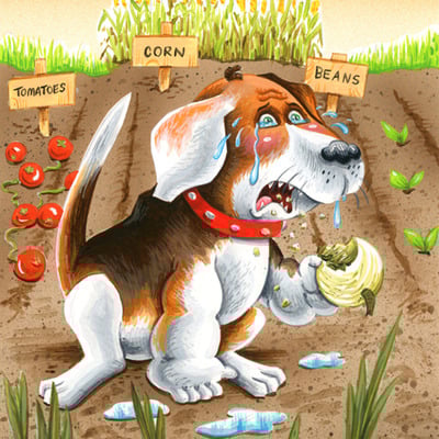 #3 of 10 garbage pail pets "ben (onion) beagle / cryin' bryan" final art - garbage pail kids 30th anniversary set - Thumbnail 5