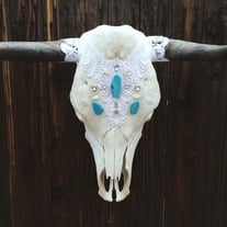 "Diana" Cow Skull