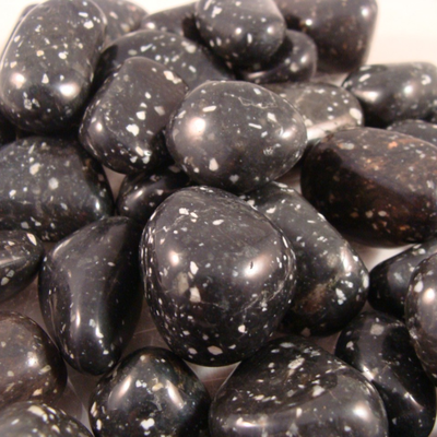Polished black spotted jasper