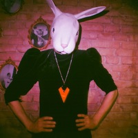 RED TIGERNYTE HIPNOTIZING CRYSTAL necklace - Thumbnail 1