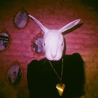 RED TIGERNYTE HIPNOTIZING CRYSTAL necklace - Thumbnail 2