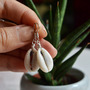 Cowrie Shell Earrings, Small Shell Earrings, Cowrie Shells, Beach Earrings-1