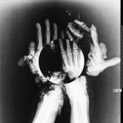 Kaoru nagisa / coma regalia split flexi - Thumbnail 2