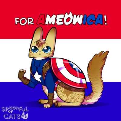 Captain AMEOWica Pillowcase