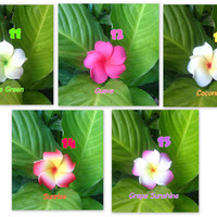 "BABY PLUMERIA" - Foam Hair Clips/Picks - YOUR CHOICE of 5! - Thumbnail 3