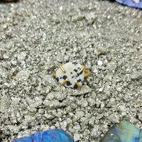 Dalmatian Jasper Brass Ring Size 5 - Thumbnail 3