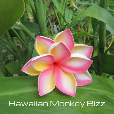 "tropical plumeria rosette hair pick - your choice of 1 . . . - Thumbnail 1