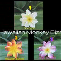 "TROPICAL PLUMERIA ROSETTE Hair Pick - Your Choice of 1 . . . - Thumbnail 1