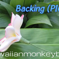 "TROPICAL PLUMERIA ROSETTE Hair Pick - Your Choice of 1 . . . - Thumbnail 3