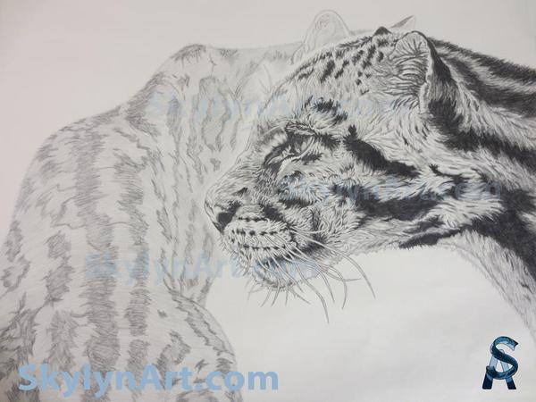 Leopard Art