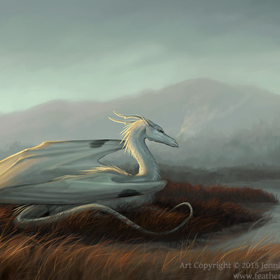 8x10 "ardea sunrise" -  print