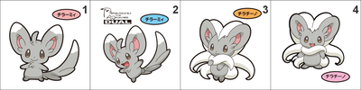 572, 573 Minccino, Cinccino Pan Stickers Pokemon