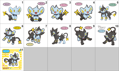 403, 404, 405 Shinx, Luxio, Luxray Pan Stickers Pokemon