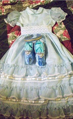 Alice in Wonderland Costume Dress, slippers and headband--custom-girls sizes