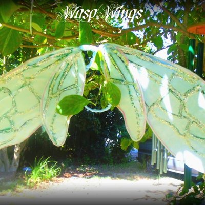 Bee wasp insect fairy wings-custom-faeryspell creations - Thumbnail 3