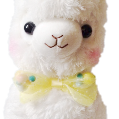 Amuse pop series arpakasso white alpacasso alpaca 50 cm