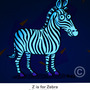 Zebra-1