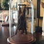 Hanging Bat In a Glass Dome-1
