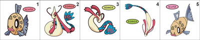 349, 350 Feebas, Milotic Pan Stickers Pokemon