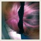 Mustaches (are the new) Hairbows-1