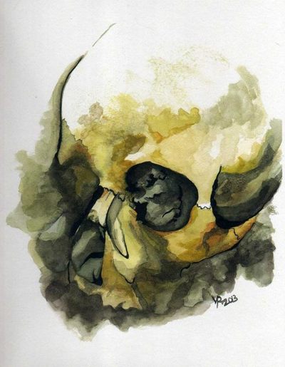 Parisian Catacombs Skull 1