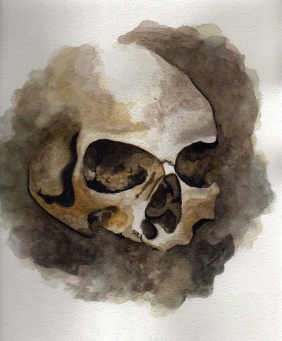 Parisian Catacombs Skull 2