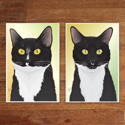 Double cat portrait 