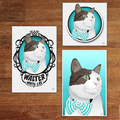 Single cat combo pack