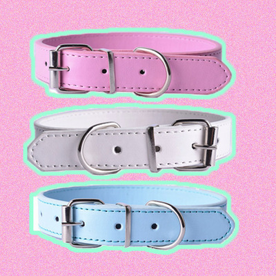 Pastel belt choker 