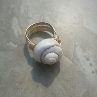 Shell Bling - Thumbnail 1
