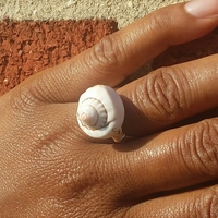 Shell Bling - Thumbnail 2