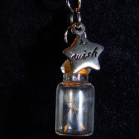 Wishes Do Come True - Thumbnail 2