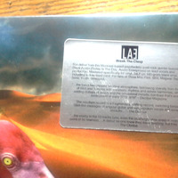 LAE Break The Clasp [2xLP] - Thumbnail 4