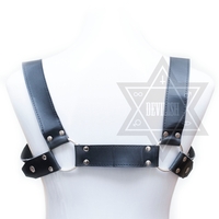 Heavy Leather Harness - Thumbnail 1