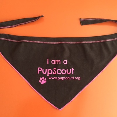 Pupscout girl bandana