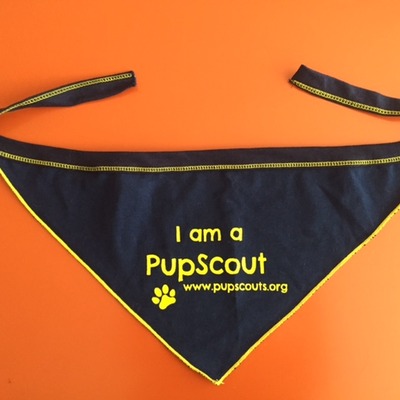 Pupscout boy bandana
