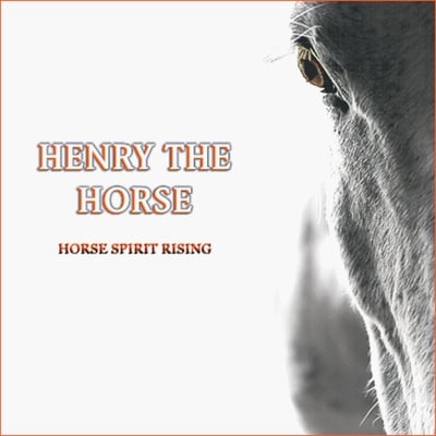 Henry the horse - horse spirit rising cd